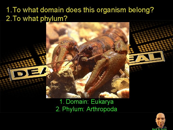 1. To what domain does this organism belong? 2. To what phylum? 1. Domain: