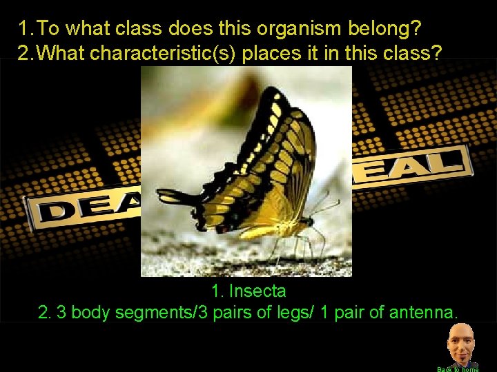 1. To what class does this organism belong? 2. What characteristic(s) places it in