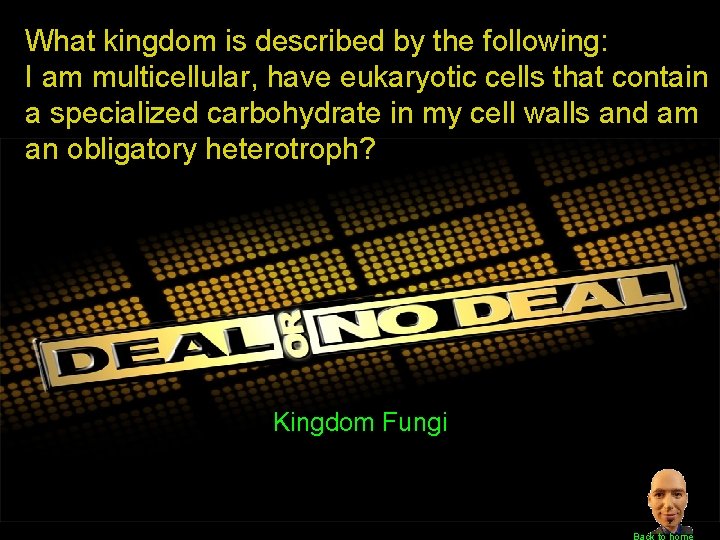 What kingdom is described by the following: I am multicellular, have eukaryotic cells that