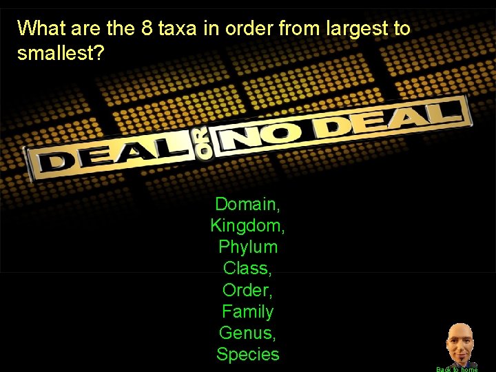 What are the 8 taxa in order from largest to smallest? Domain, Kingdom, Phylum