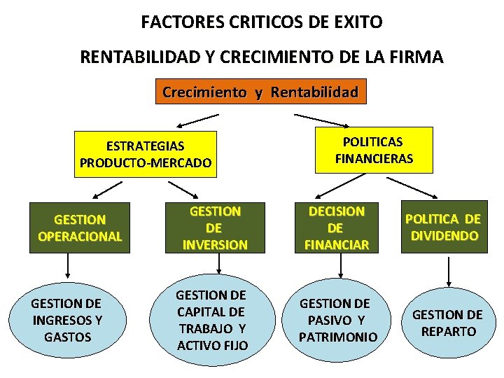 FACTORES CRITICOS DE EXITO RENTABILIDAD Y CRECIMIENTO DE LA FIRMA Crecimiento y Rentabilidad ESTRATEGIAS