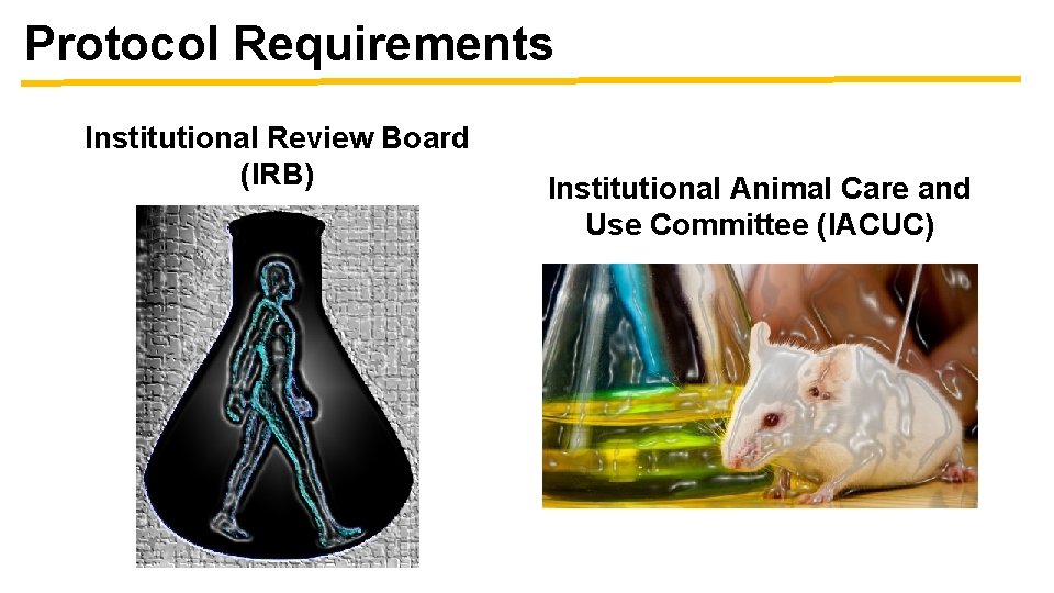 Protocol Requirements Institutional Review Board (IRB) Institutional Animal Care and Use Committee (IACUC) 