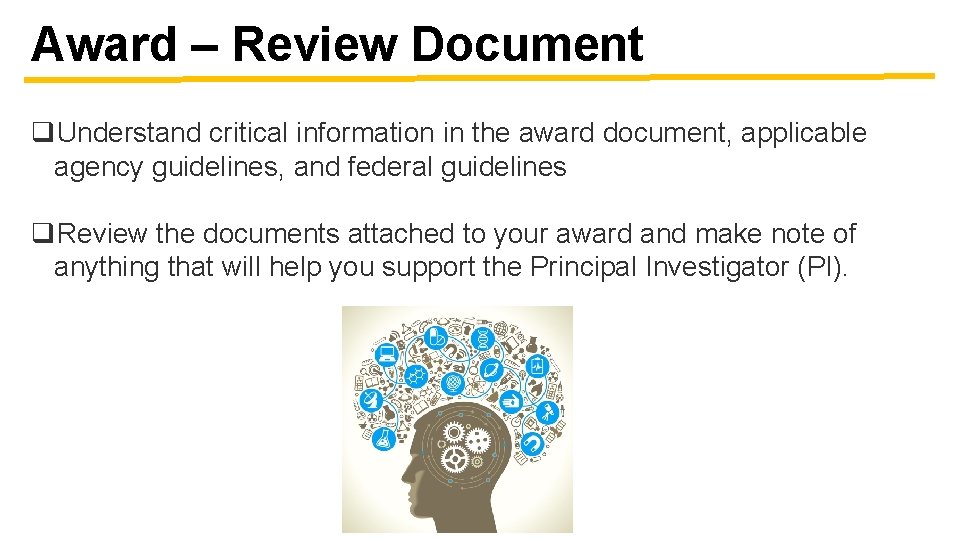 Award – Review Document q. Understand critical information in the award document, applicable agency