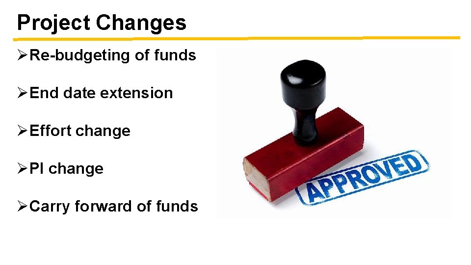 Project Changes ØRe-budgeting of funds ØEnd date extension ØEffort change ØPI change ØCarry forward