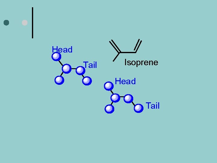 Head Tail Isoprene Head Tail 