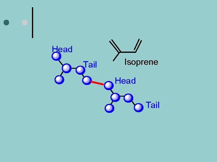 Head Tail Isoprene Head Tail 