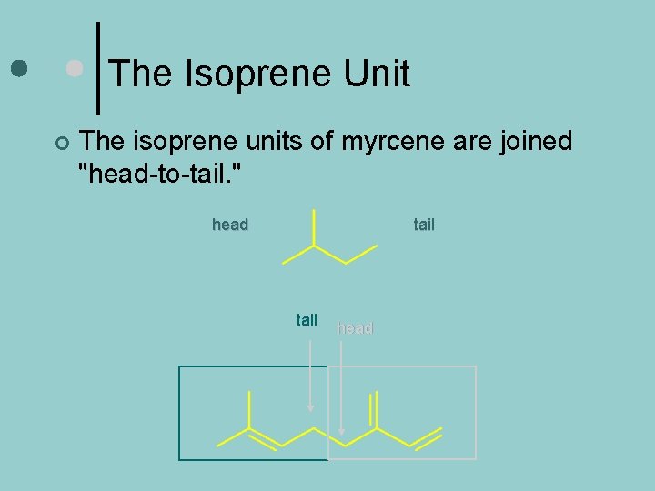 The Isoprene Unit ¢ The isoprene units of myrcene are joined "head-to-tail. " head