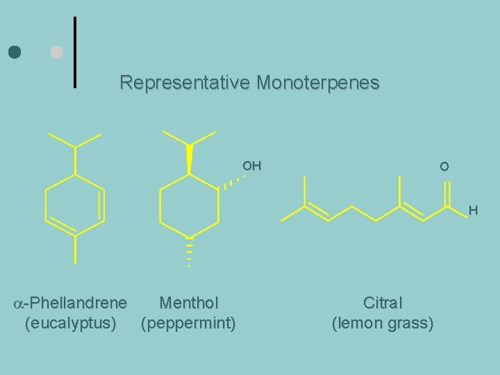 Representative Monoterpenes OH O H a-Phellandrene Menthol (eucalyptus) (peppermint) Citral (lemon grass) 