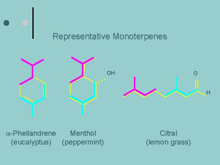 Representative Monoterpenes OH O H a-Phellandrene Menthol (eucalyptus) (peppermint) Citral (lemon grass) 