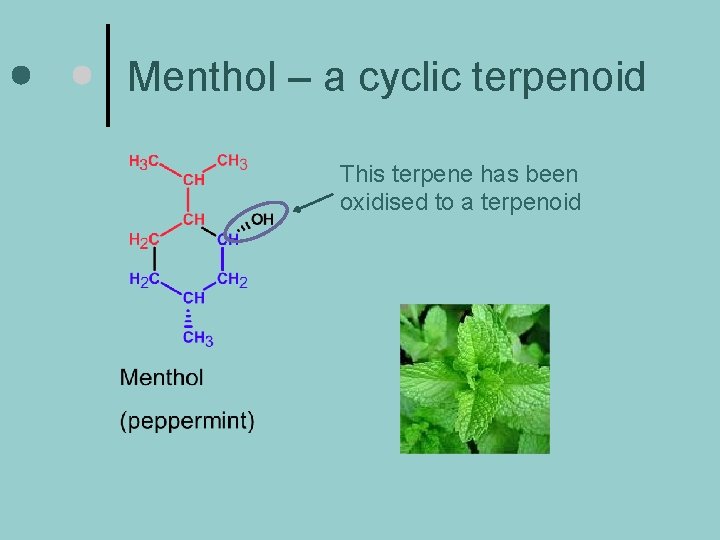 Menthol – a cyclic terpenoid This terpene has been oxidised to a terpenoid 