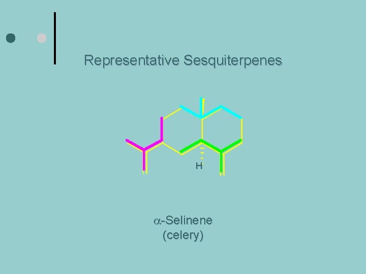 Representative Sesquiterpenes H a-Selinene (celery) 