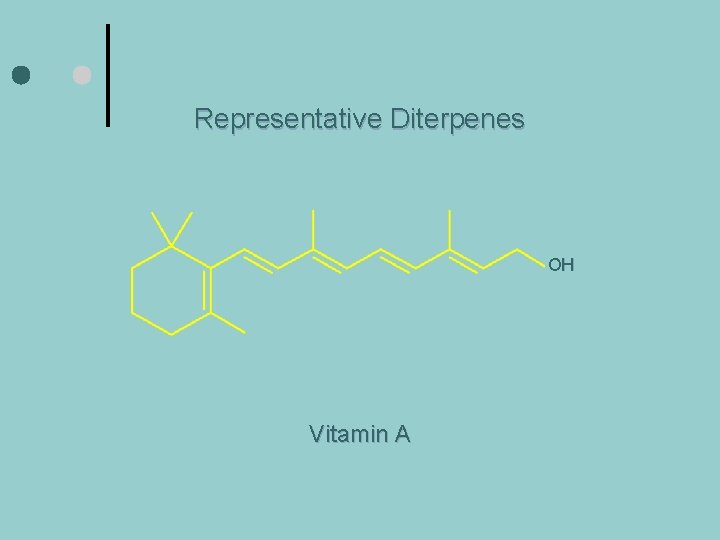 Representative Diterpenes OH Vitamin A 