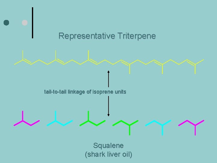 Representative Triterpene tail-to-tail linkage of isoprene units Squalene (shark liver oil) 