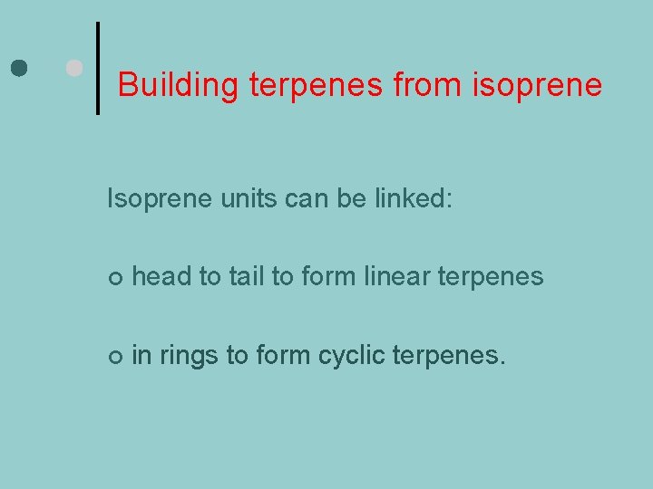 Building terpenes from isoprene Isoprene units can be linked: ¢ head to tail to