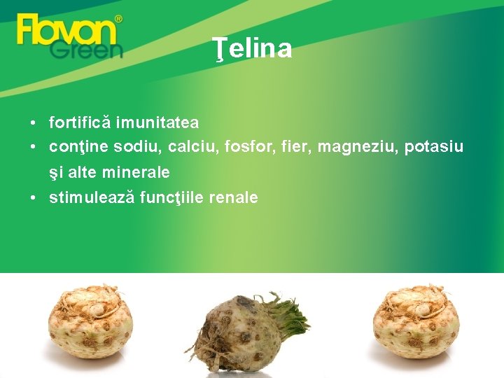 Ţelina • fortifică imunitatea • conţine sodiu, calciu, fosfor, fier, magneziu, potasiu şi alte