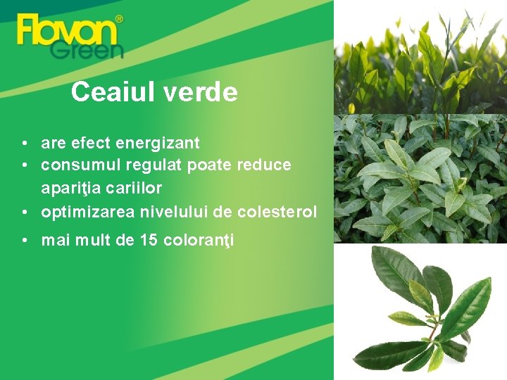 Ceaiul verde • are efect energizant • consumul regulat poate reduce apariţia cariilor •