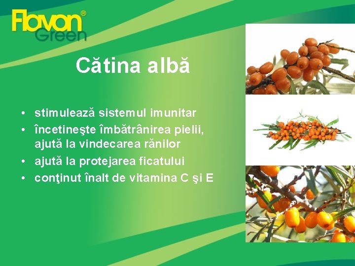 Cătina albă • stimulează sistemul imunitar • încetineşte îmbătrânirea pielii, ajută la vindecarea rănilor