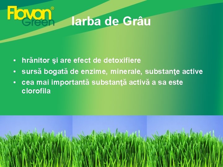 Iarba de Grâu • hrănitor şi are efect de detoxifiere • sursă bogată de