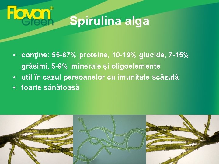 Spirulina alga • conţine: 55 -67% proteine, 10 -19% glucide, 7 -15% grăsimi, 5