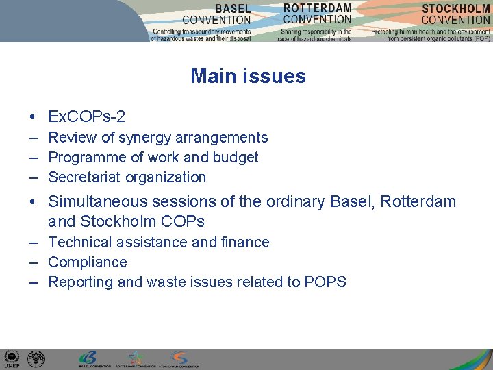 Main issues • Ex. COPs-2 – Review of synergy arrangements – Programme of work