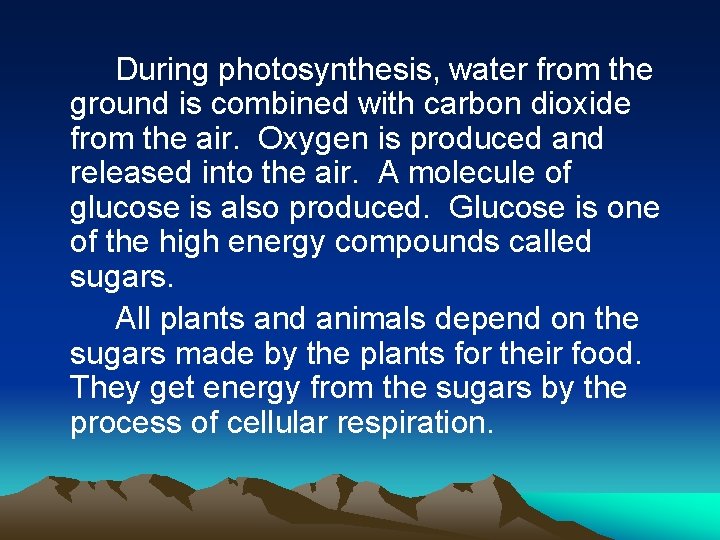 During photosynthesis, water from the ground is combined with carbon dioxide from the air.