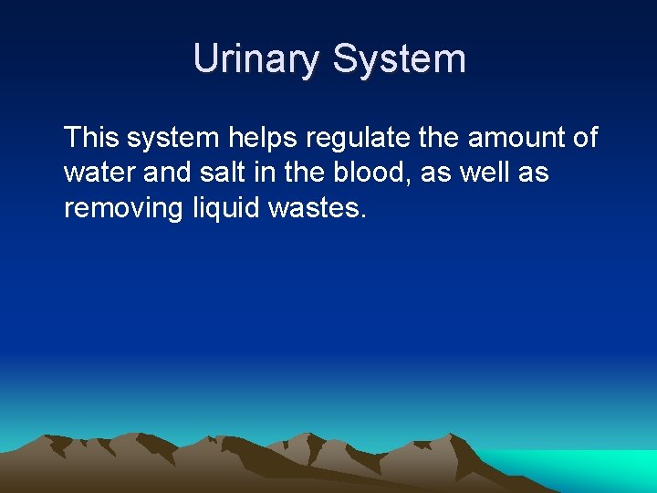 Urinary System This system helps regulate the amount of water and salt in the