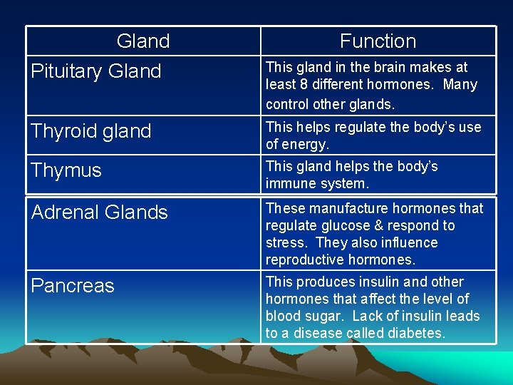 Gland Pituitary Gland Function This gland in the brain makes at least 8 different