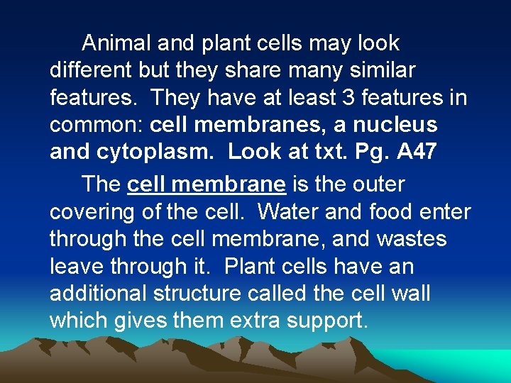 Animal and plant cells may look different but they share many similar features. They