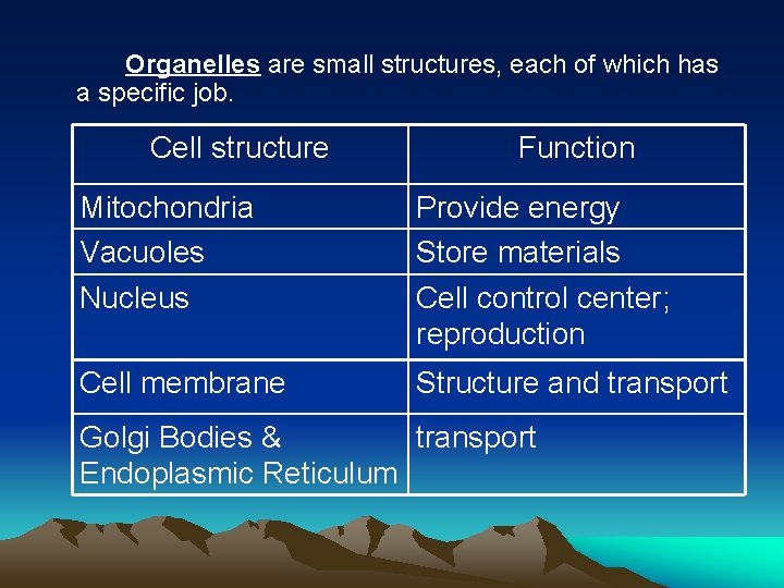 Organelles are small structures, each of which has a specific job. Cell structure Function