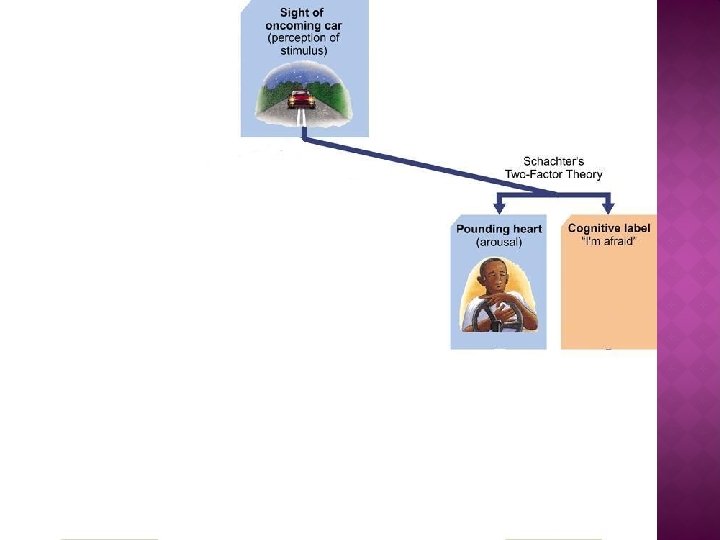 Chapter 13 Emotion Phineas gage crash course THEORIES