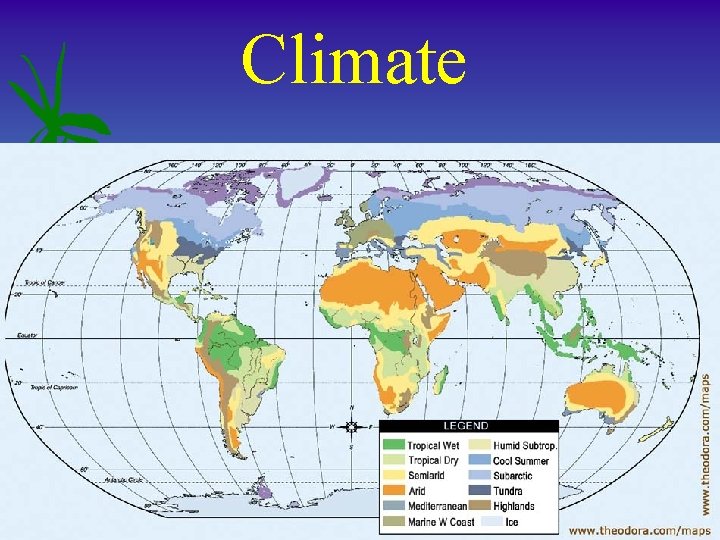 Climate 