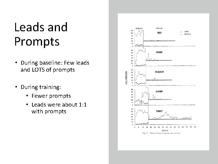 Leads and Prompts • During baseline: Few leads and LOTS of prompts • During