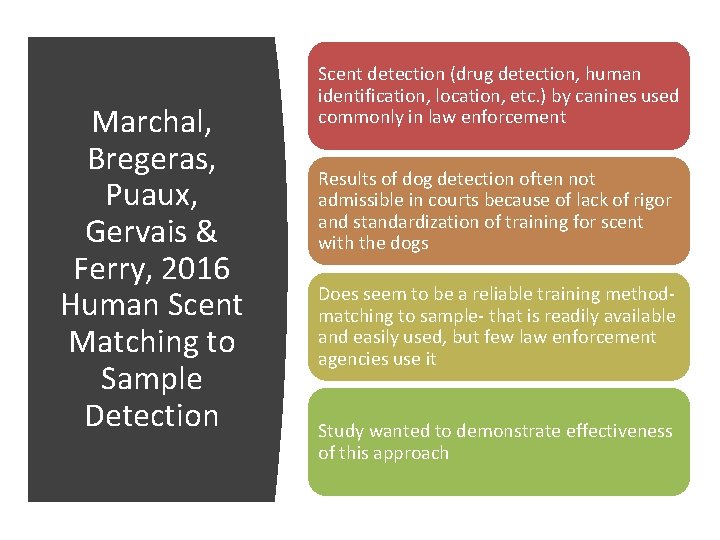 Marchal, Bregeras, Puaux, Gervais & Ferry, 2016 Human Scent Matching to Sample Detection Scent