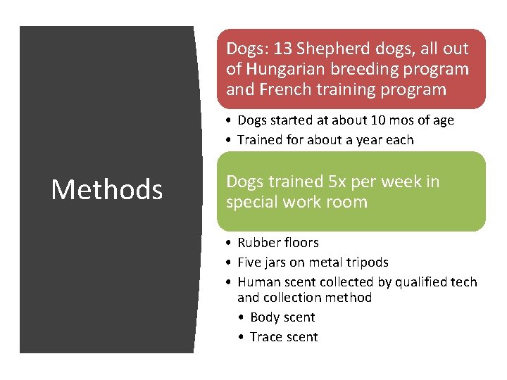 Dogs: 13 Shepherd dogs, all out of Hungarian breeding program and French training program