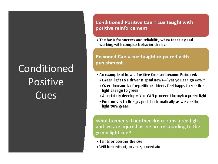 Conditioned Positive Cue = cue taught with positive reinforcement • The basis for success