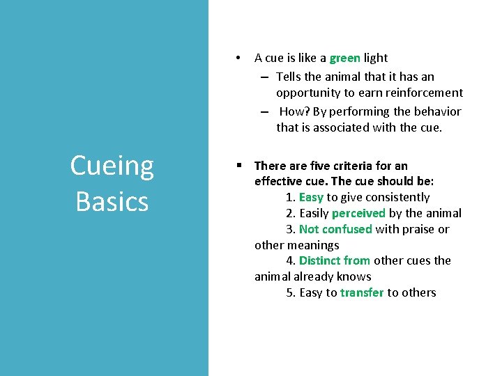  • Cueing Basics A cue is like a green light – Tells the