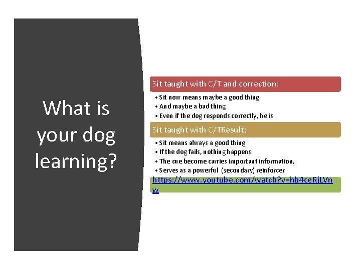 Sit taught with C/T and correction: What is your dog learning? • Sit now