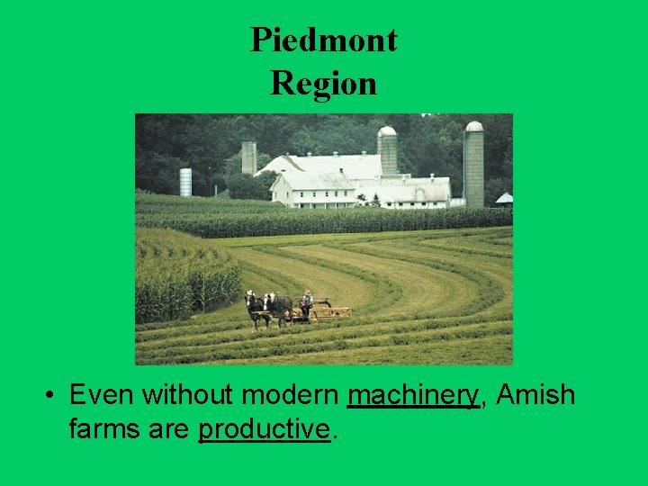 Piedmont Region • Even without modern machinery, Amish farms are productive. 