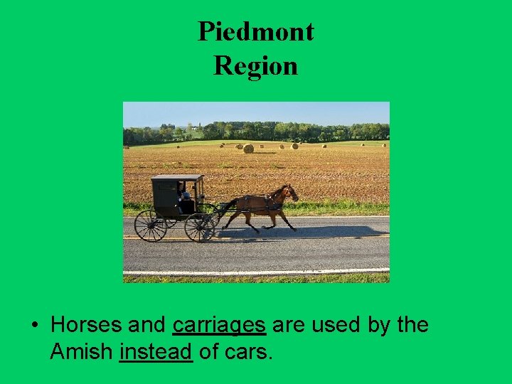 Piedmont Region • Horses and carriages are used by the Amish instead of cars.
