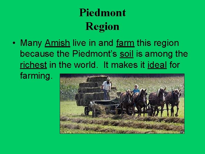 Piedmont Region • Many Amish live in and farm this region because the Piedmont’s