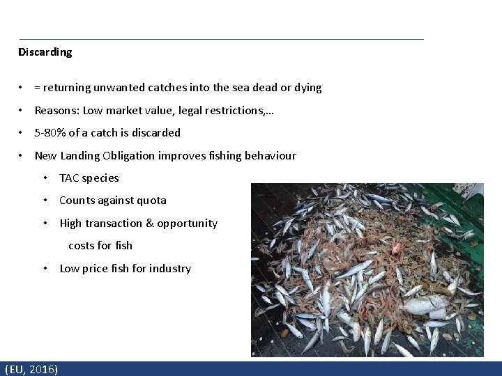 Discarding • = returning unwanted catches into the sea dead or dying • Reasons: