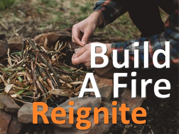 Reignite 