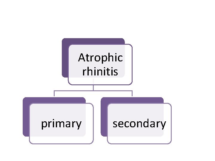 Atrophic rhinitis primary secondary 