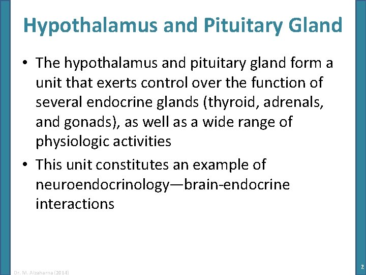 Hypothalamus and Pituitary Gland • The hypothalamus and pituitary gland form a unit that Hypothalamus and Pituitary Gland • The hypothalamus and pituitary gland form a unit that