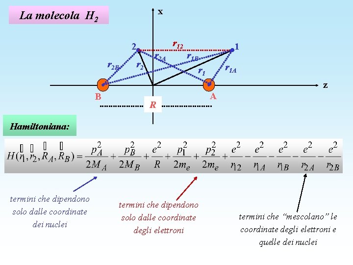 x La molecola H 2 2 r 2 B r 2 A r 12