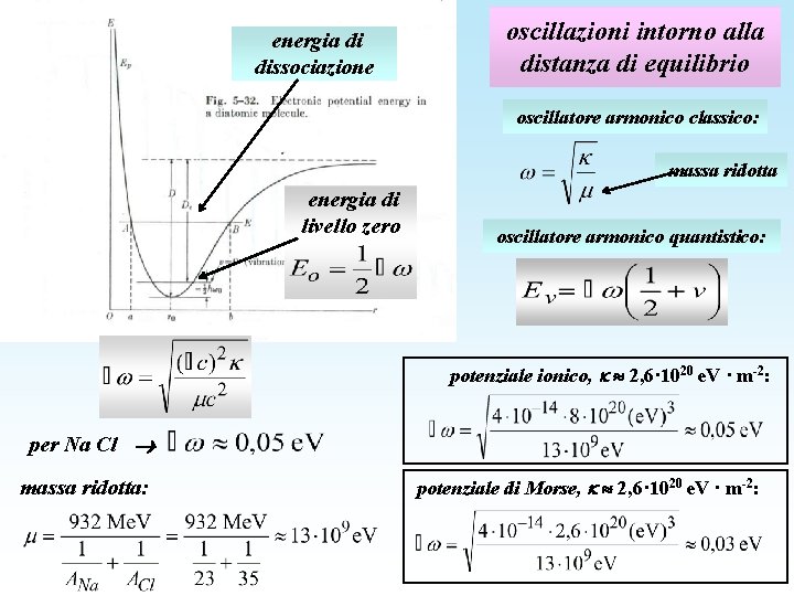 energia di dissociazione oscillazioni intorno alla distanza di equilibrio oscillatore armonico classico: massa ridotta