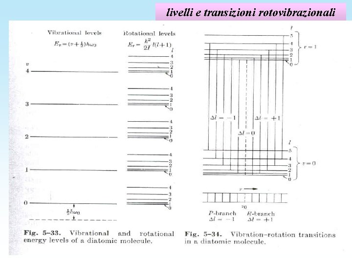 livelli e transizioni rotovibrazionali 