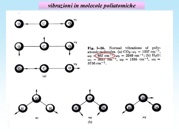 vibrazioni in molecole poliatomiche 