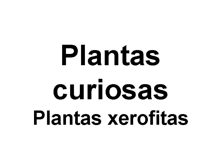 Plantas curiosas Plantas xerofitas 