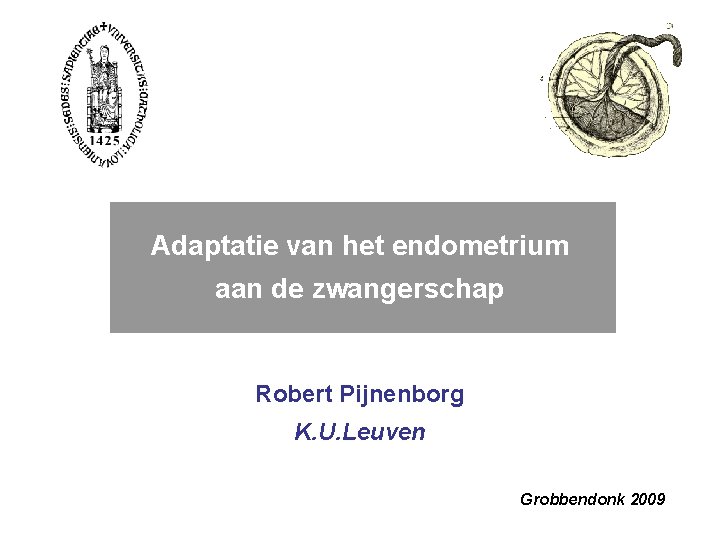 Adaptatie van het endometrium aan de zwangerschap Robert Pijnenborg K. U. Leuven Grobbendonk 2009